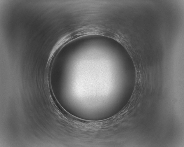 X0000058120004200509231104