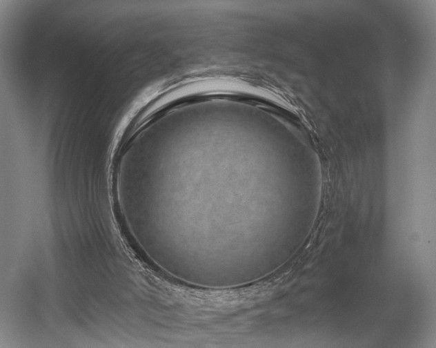 X0000058120006200509231104