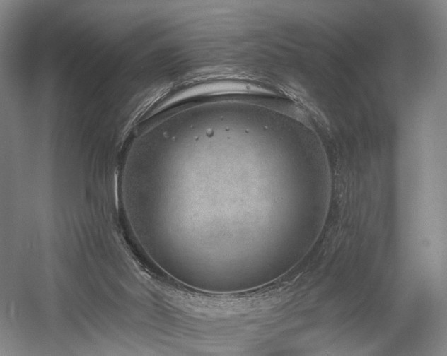 X0000058120014200509231104