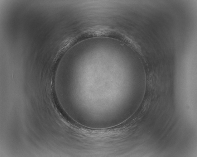 X0000058120018200509231104
