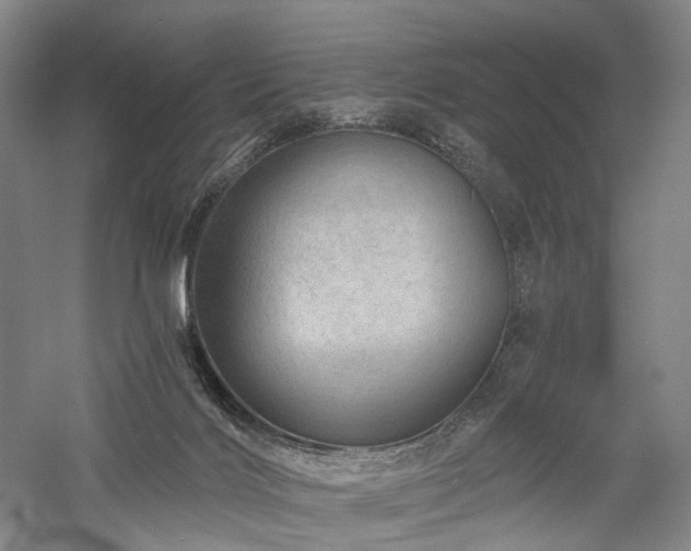 X0000058120028200509231104