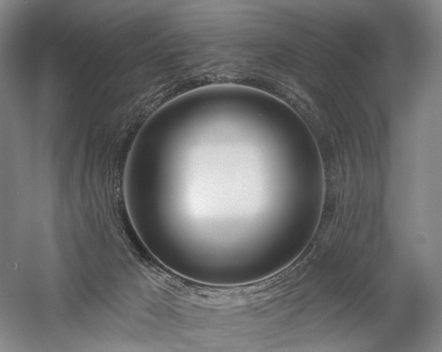 X0000058120029200509231104
