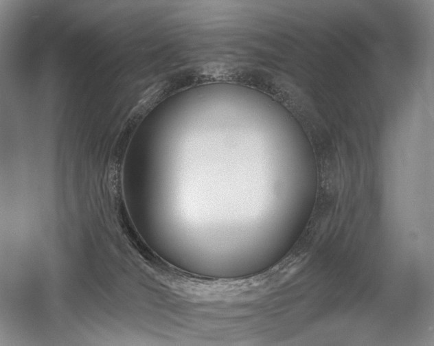 X0000058120036200509231104