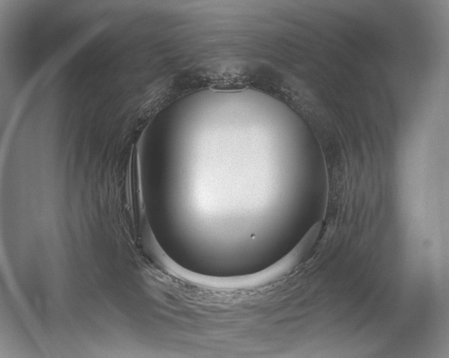 X0000058120037200509231104