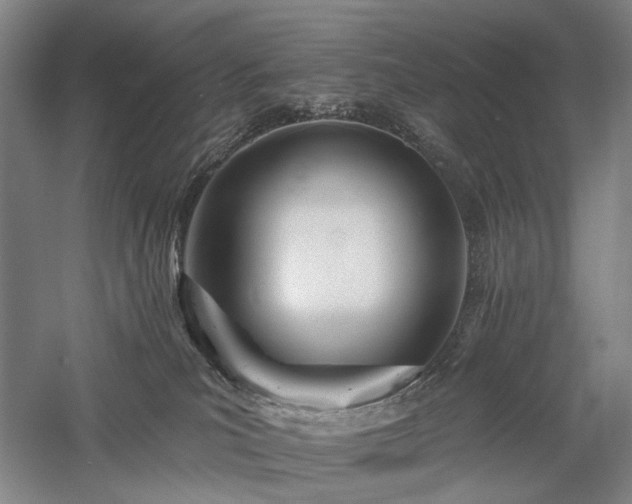 X0000058120039200509231104