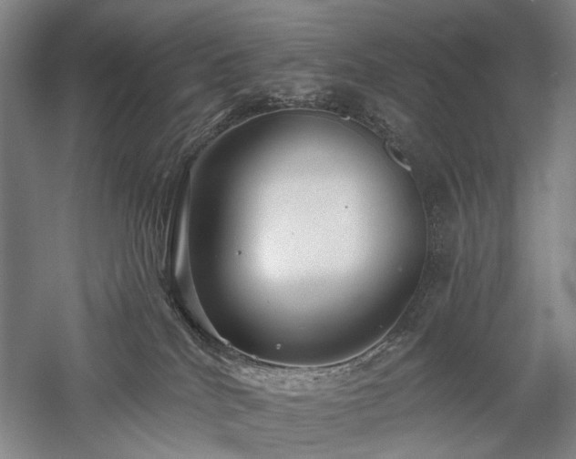 X0000058120040200509231104