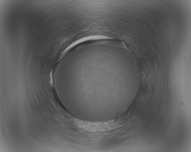 X0000058120042200509231104