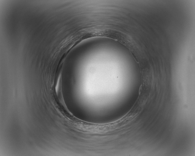X0000058120044200509231104