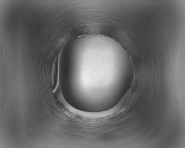 X0000058120045200509231104