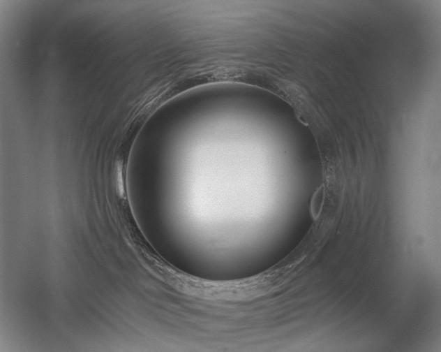 X0000058120046200509231104