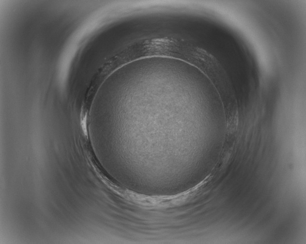 X0000058120047200509231104