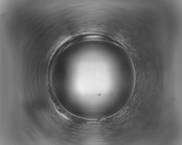 X0000058120050200509231103