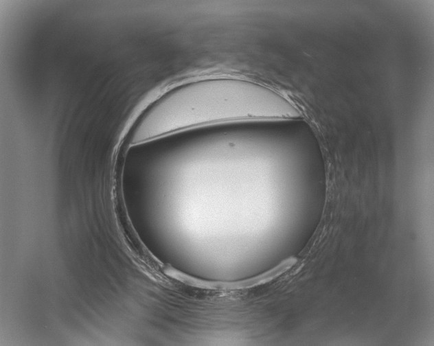 X0000058120056200509231103