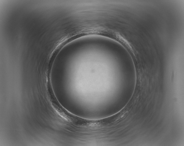 X0000058120059200509231103