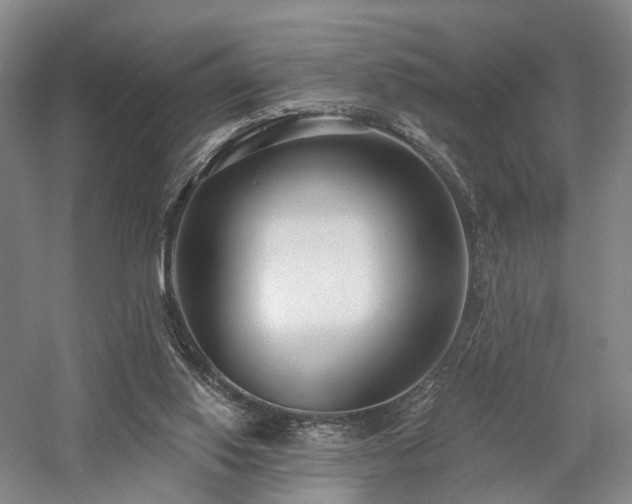 X0000058120062200509231103