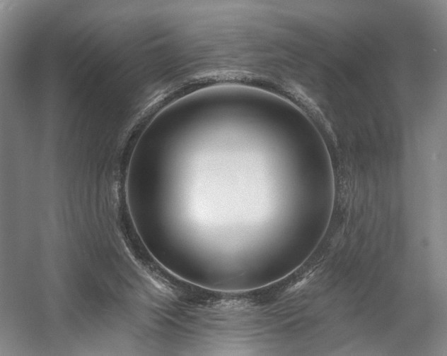 X0000058120063200509231103