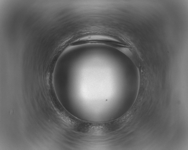X0000058120066200509231103