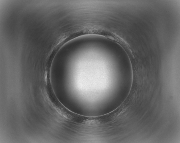 X0000058120067200509231103