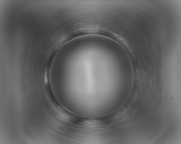 X0000058120069200509231103