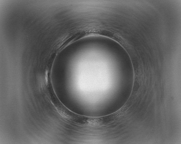 X0000058120070200509231103