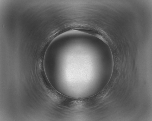 X0000058120071200509231103