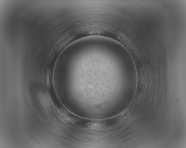 X0000058120074200509231103