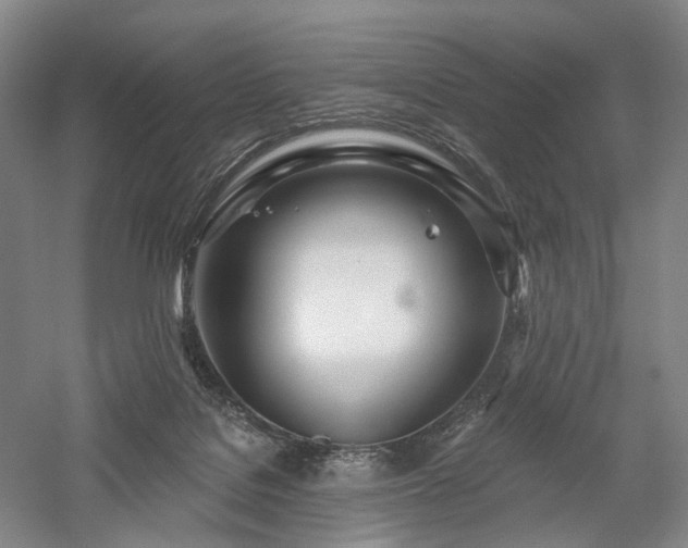 X0000058120076200509231103