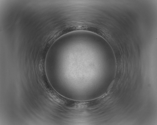 X0000058120078200509231103