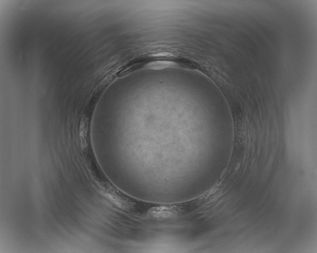 X0000058120082200509231103