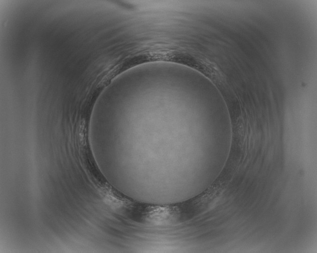 X0000058120083200509231103