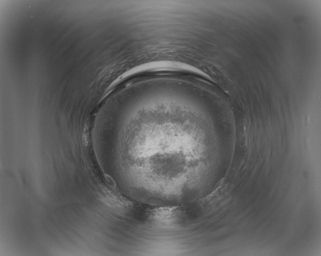X0000058120090200509231104