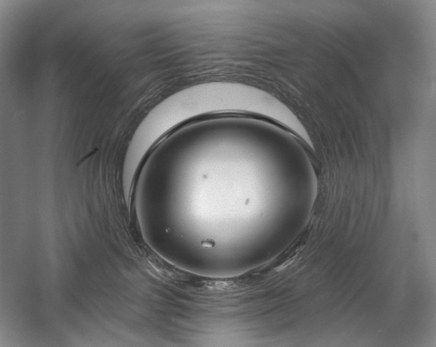 X0000058120091200509231104