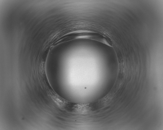 X0000058120093200509231104