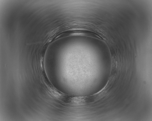 X0000058120094200509231104