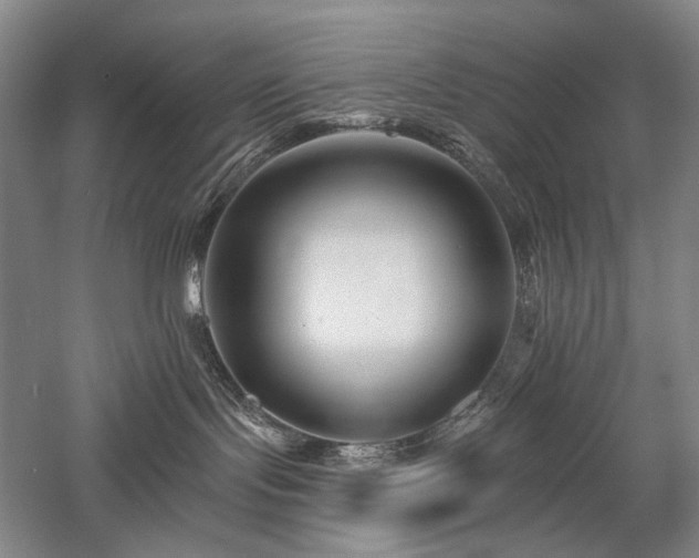 X0000058120095200509231104