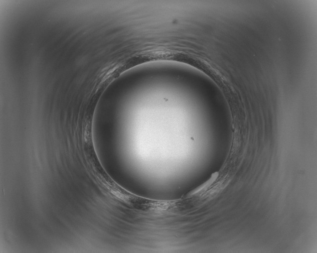 X0000058120096200509231104
