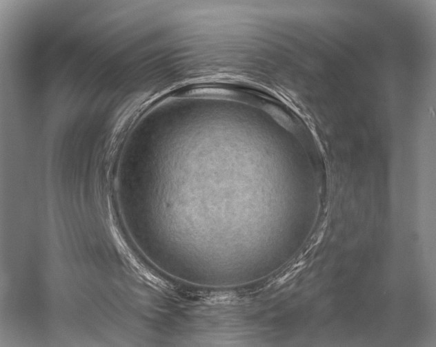 X0000058120097200509231103