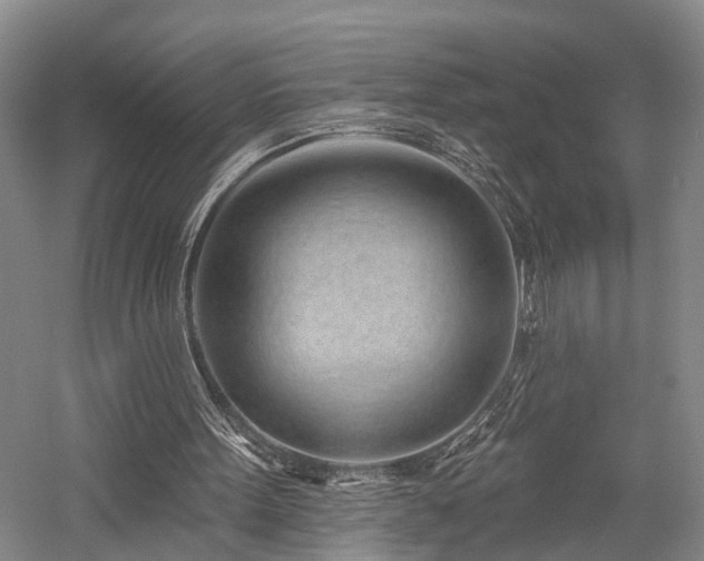 X0000058120099200509231103