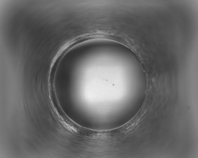 X0000058120102200509231103