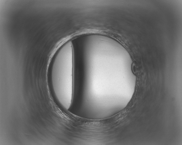 X0000058120104200509231103
