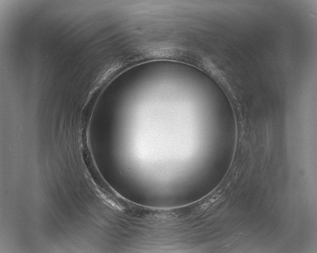 X0000058120106200509231103