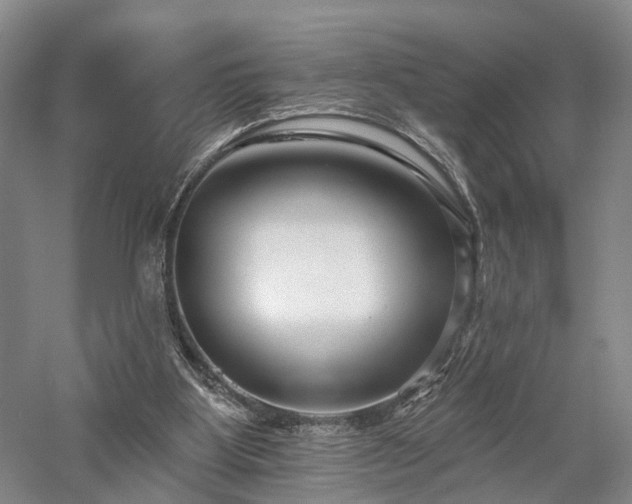 X0000058120107200509231103