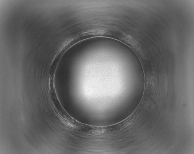 X0000058120110200509231103