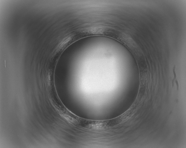 X0000058120120200509231102