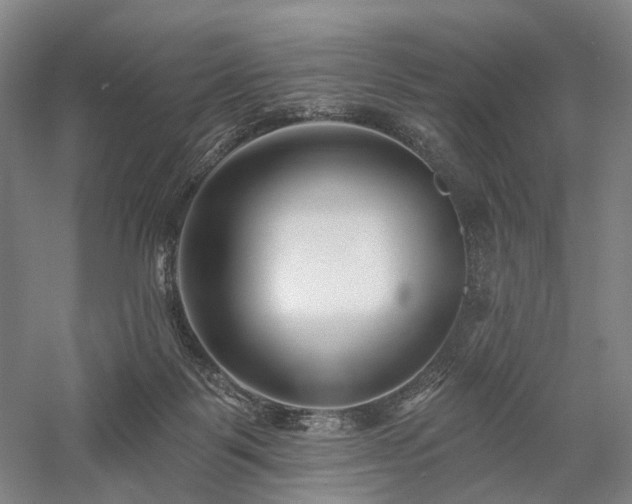 X0000058120123200509231102