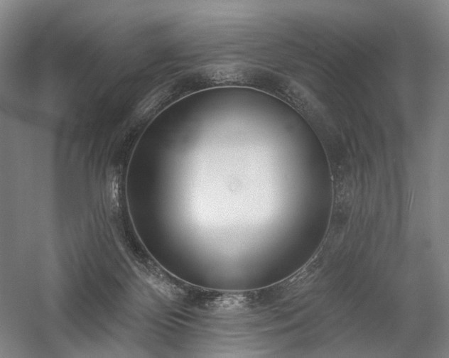 X0000058120124200509231102