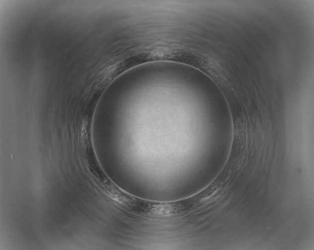 X0000058120127200509231102