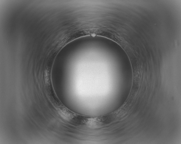 X0000058120130200509231102
