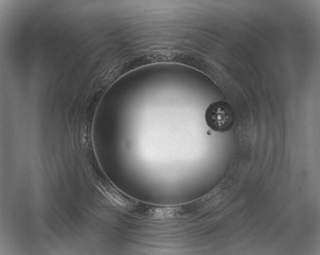 X0000058120134200509231102