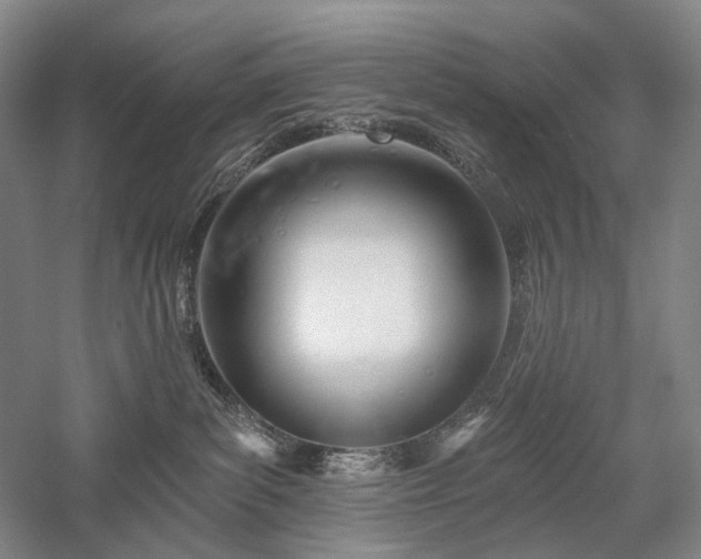 X0000058120139200509231102
